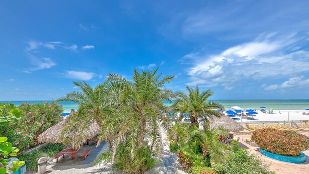 Un resort frente a la playa con palmeras, sillas de descanso y vista al océano.