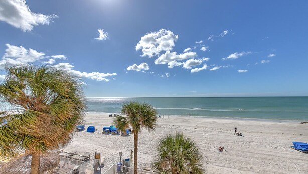 A beach with clear skies, palm trees, and a calm sea.