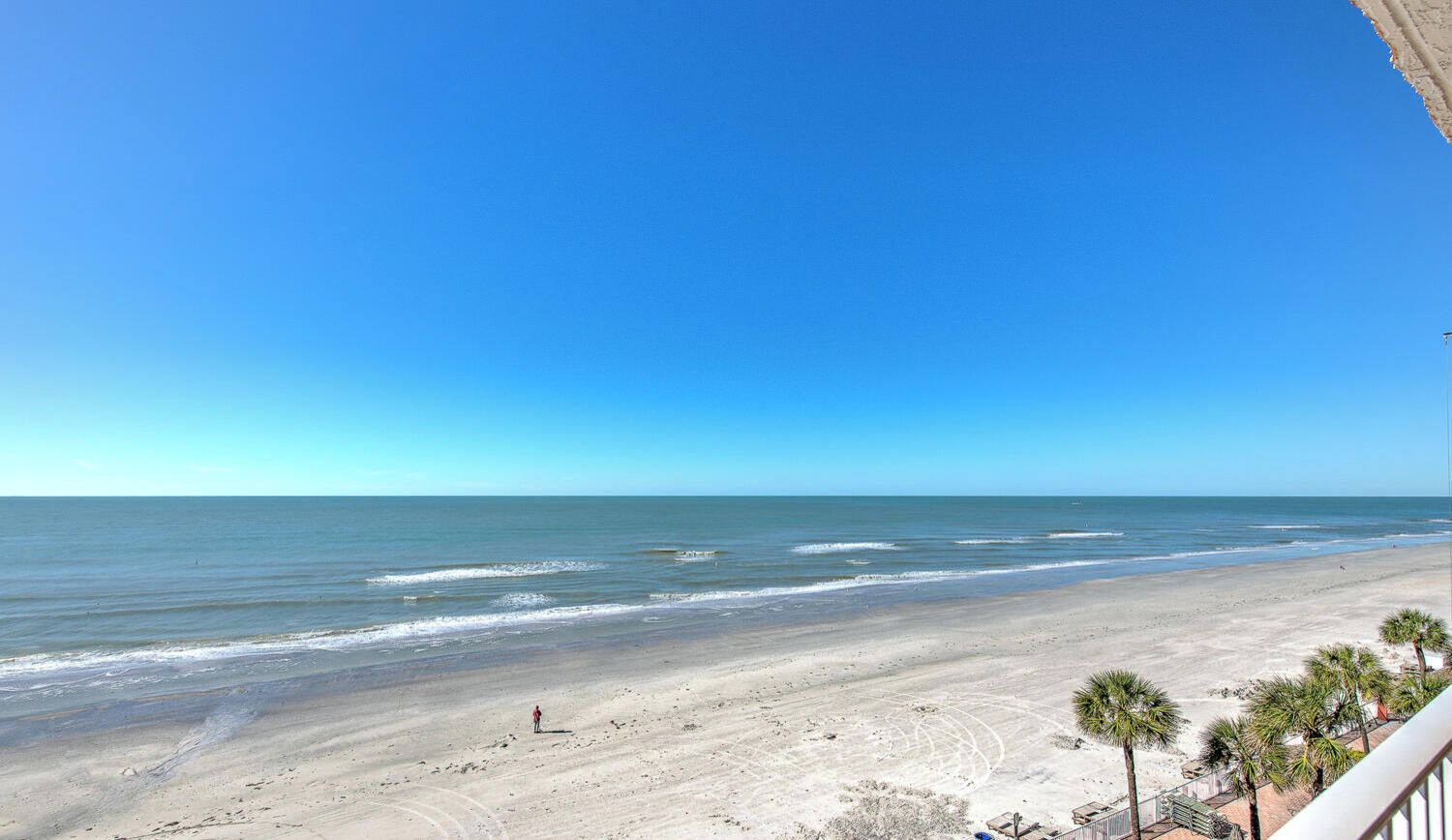 Vista a la playa con cielo despejado, arena y algunas palmeras.