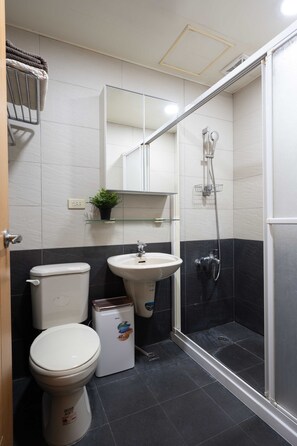Hair dryer, towels, soap, toilet paper