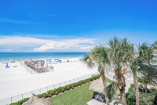 A beach with a fenced area, palm trees, and a clear sky.