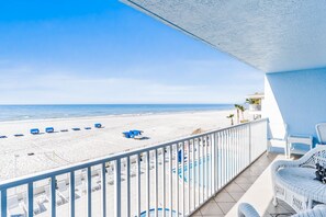 Property grounds - Sand Dollar 208: 3  BR, 2  BA Condominium in Indian Shores, Sleeps 8 (Indian Shores)