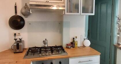 Cozy parterre in The Hague, close to beach & center, good public transportation
