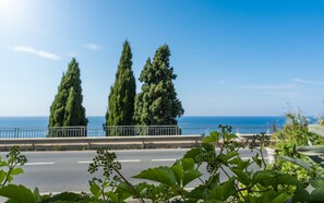 A coastal road with a metal guardrail, two tall cypress trees, and a clear blue sky. - Aurelia Blu (Santo Stefano al Mare)