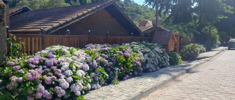 Fachada del alojamiento