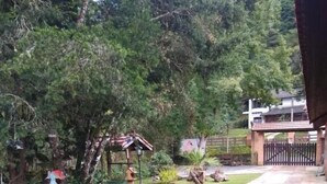A well-maintained garden with a paved pathway, a wooden structure, and a fenced area.