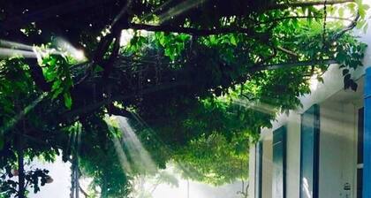 La villa des fleurs à Breuillet - sleeps 8 - garden - swimming pool