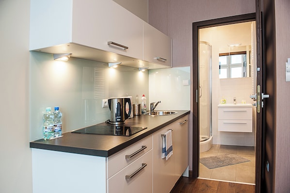 Superior Studio Suite, River View