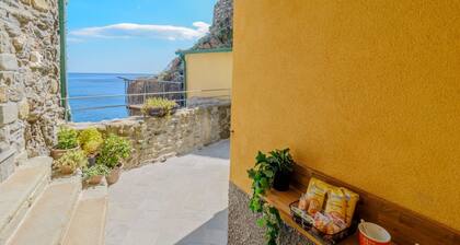 Ventu de Ma Tiny Room