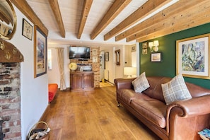 TV, fireplace, DVD player, books
