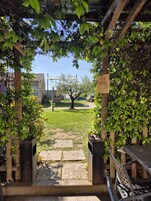 Un'area esterna con un pergolato ricoperto di verde, un vialetto in pietra che conduce a una zona relax, e un cartello con la scritta 'No Smoking'.