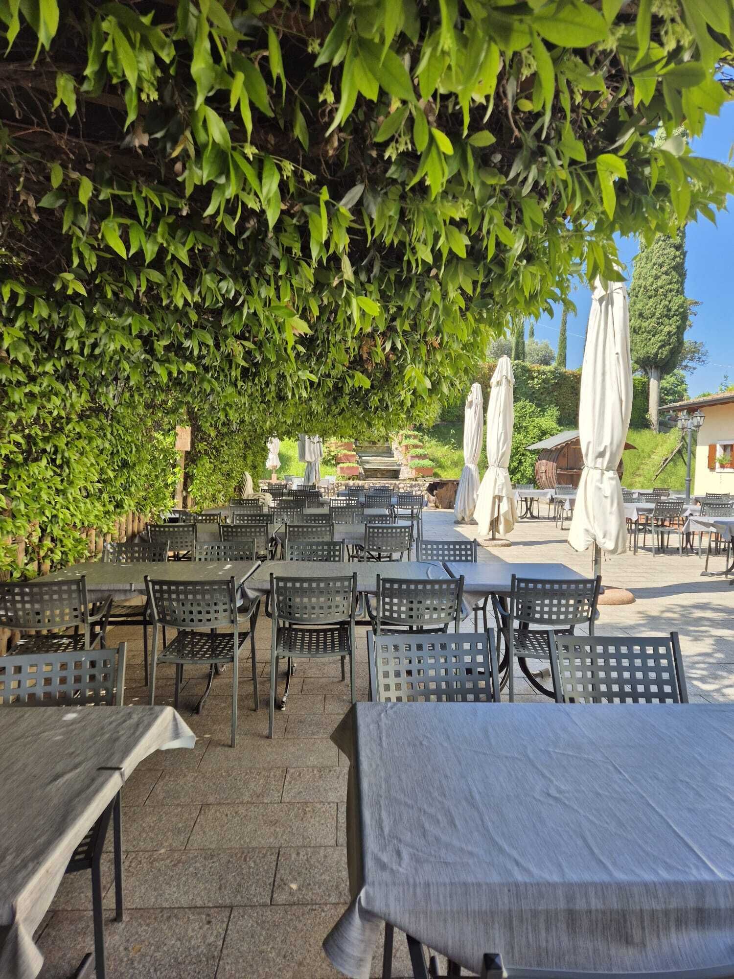 An outdoor seating area with tables and chairs, covered by a leafy canopy.
