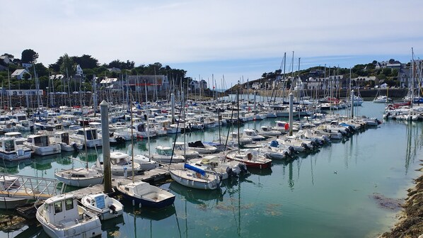Marina