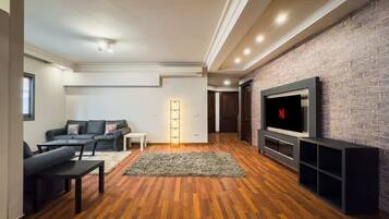 Basic-Apartment | Wohnbereich | Fernseher