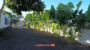 A pathway lined with banana plants leading to a building with a white exterior and a red car parked in the background.
