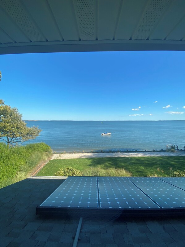 Late afternoon in the backyard (beach below bulkhead--not pictured)