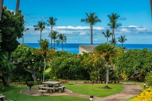 Condo, 1 Bedroom | Outdoor dining - Wailea Ekolu 1608 1 Bedroom Condo (Kihei)