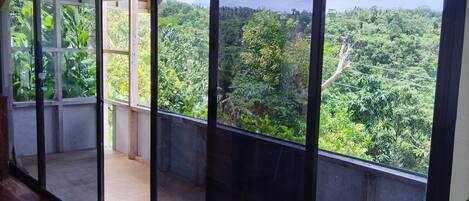 House, 1 Bedroom, Mountain View | Balcony