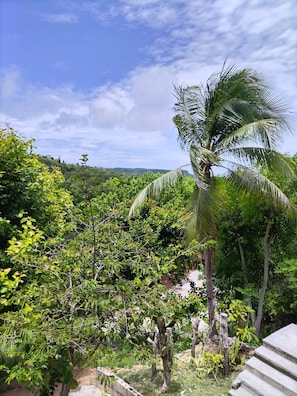 Maison, 1 chambre, patio, vue sur la montagne | Jardin
