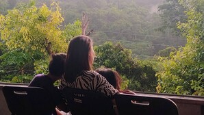 House, 1 Bedroom, Patio, Mountain View | View from property - Siquijor Hilltop House Near Cambugahay Falls (Lazi)