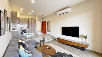 Basic Apartment | Living area | 55-inch Smart TV with cable channels