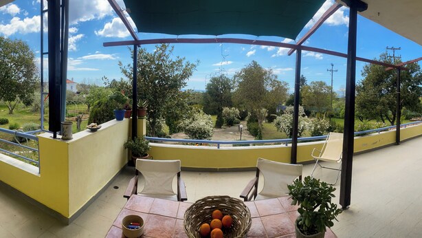 A covered balcony with a yellow wall, two white chairs, a table with a basket of oranges, and a potted plant. - Pond and Pines - Seaside apartments - 1st floor (Epanomi)