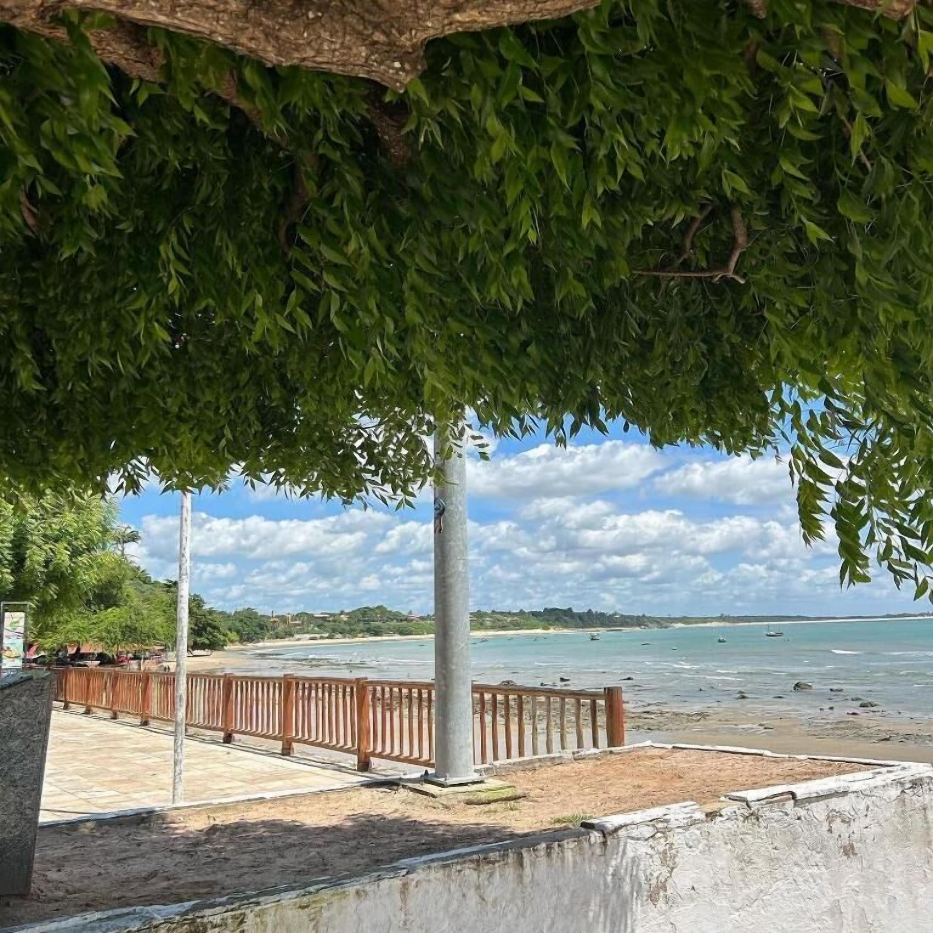 A beach view with a wooden fence and a tree providing shade.