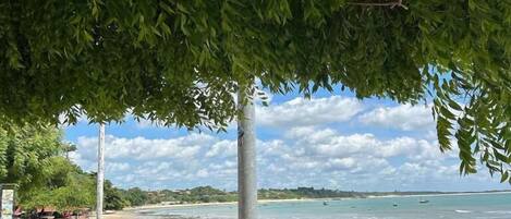 A beach view with a wooden fence and a tree providing shade.
