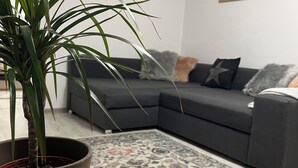 Een woonkamer met een grijze bank, een kamerplant, een tapijtd, en wandplanken.