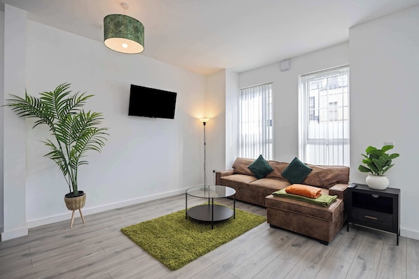 Fernseher, Arbeitsbereiche