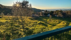 Un champ verdoyant avec un arbre et une vue lointaine sur des collines.