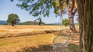 A tree with a swing chair, a clear sky, and a distant tree. - Room 'Oliva' with Shared Garden and Wi-Fi (Gavorrano)
