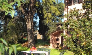Ein Garten mit Tisch und Stühlen, ein kleines Gebäude und Bäume.