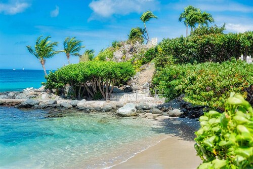 Island Bliss | Dive, Cruise & Unwind on Two Secluded Beaches | 3 Units