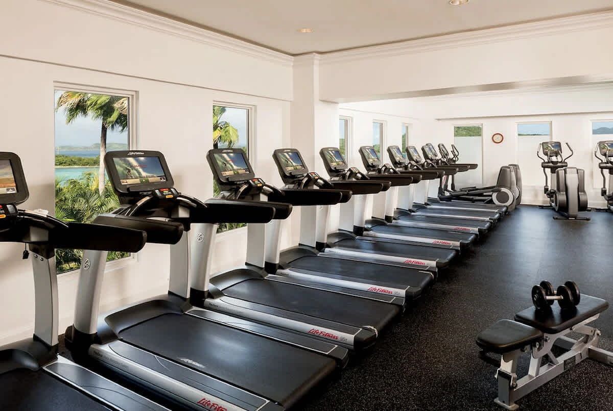 Une rangée de tapis de course dotés d’écrans numériques, un banc et des haltères dans une salle de sport aux grandes fenêtres, offrant une vue sur des palmiers.
