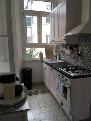 Oven, stovetop, dishwasher