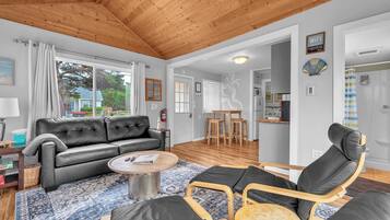 Smart TV, fireplace, DVD player, video library