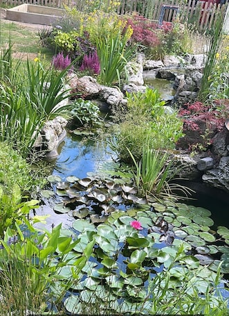 Property grounds. Charming Cottage within Ancient Woodland Forest