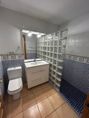 Douche, sèche-cheveux, serviettes fournies, papier toilette