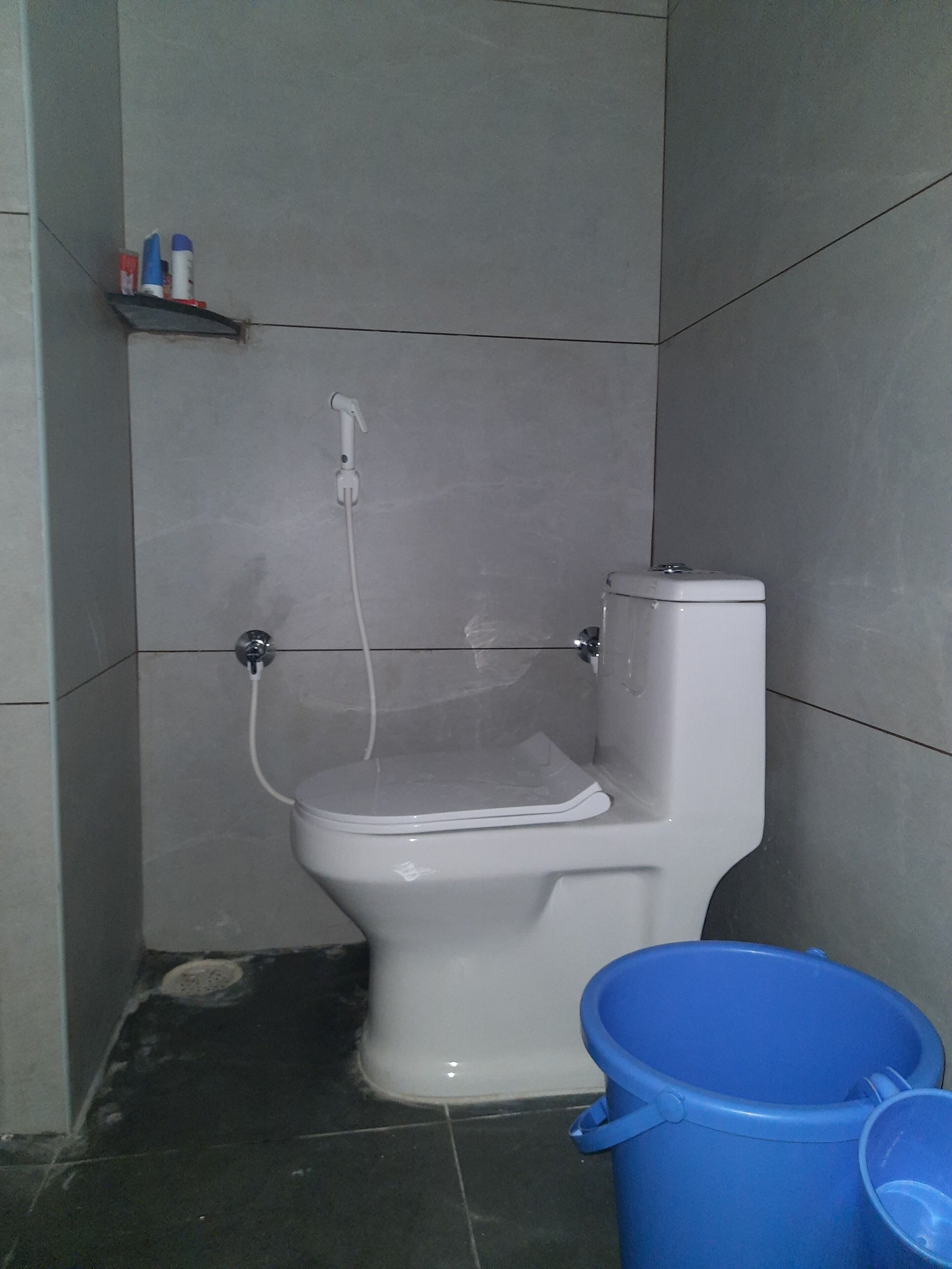 A bathroom with a white toilet, a blue bucket, and a showerhead.