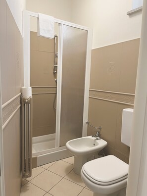 Shower, hair dryer, bidet, towels