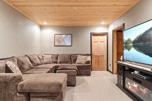 Smart TV, fireplace, books