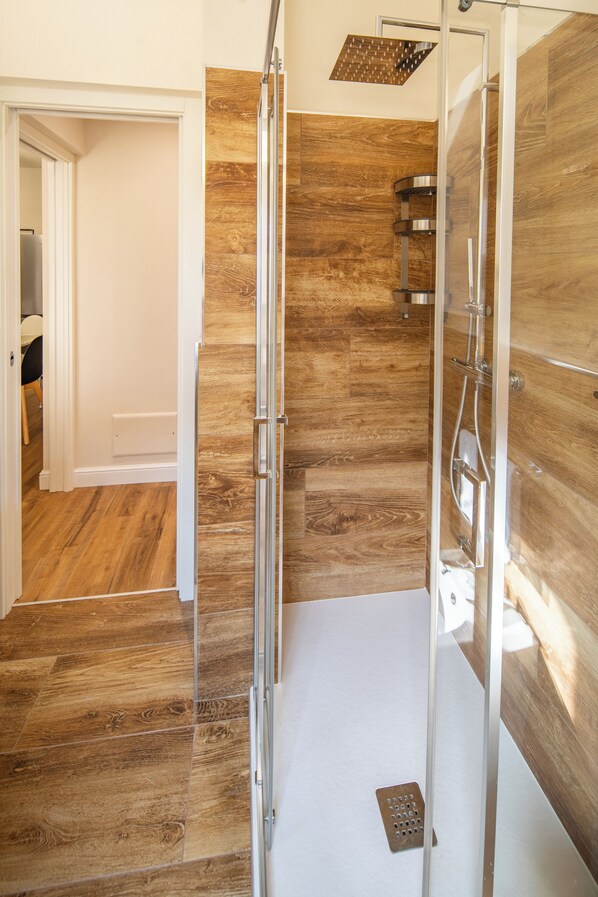 Shower, hair dryer, bidet, towels