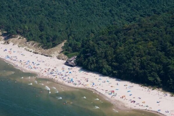 An aerial view of a beach with numerous umbrellas and a small structure, surrounded by dense forest.