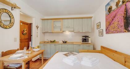 Hermitage Studio - close to ski pistes