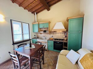 Apartment, Patio, Lake View | Private kitchen
