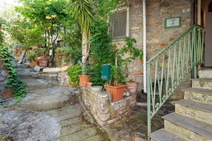 Un escalier en pierre menant à une porte, entouré de plantes en pot et d’une rambarde en métal vert.