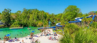 Spring Hill, Heated Pool + Lanai. Pets Welcome!