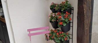 Bed and breakfast in historic Orléans