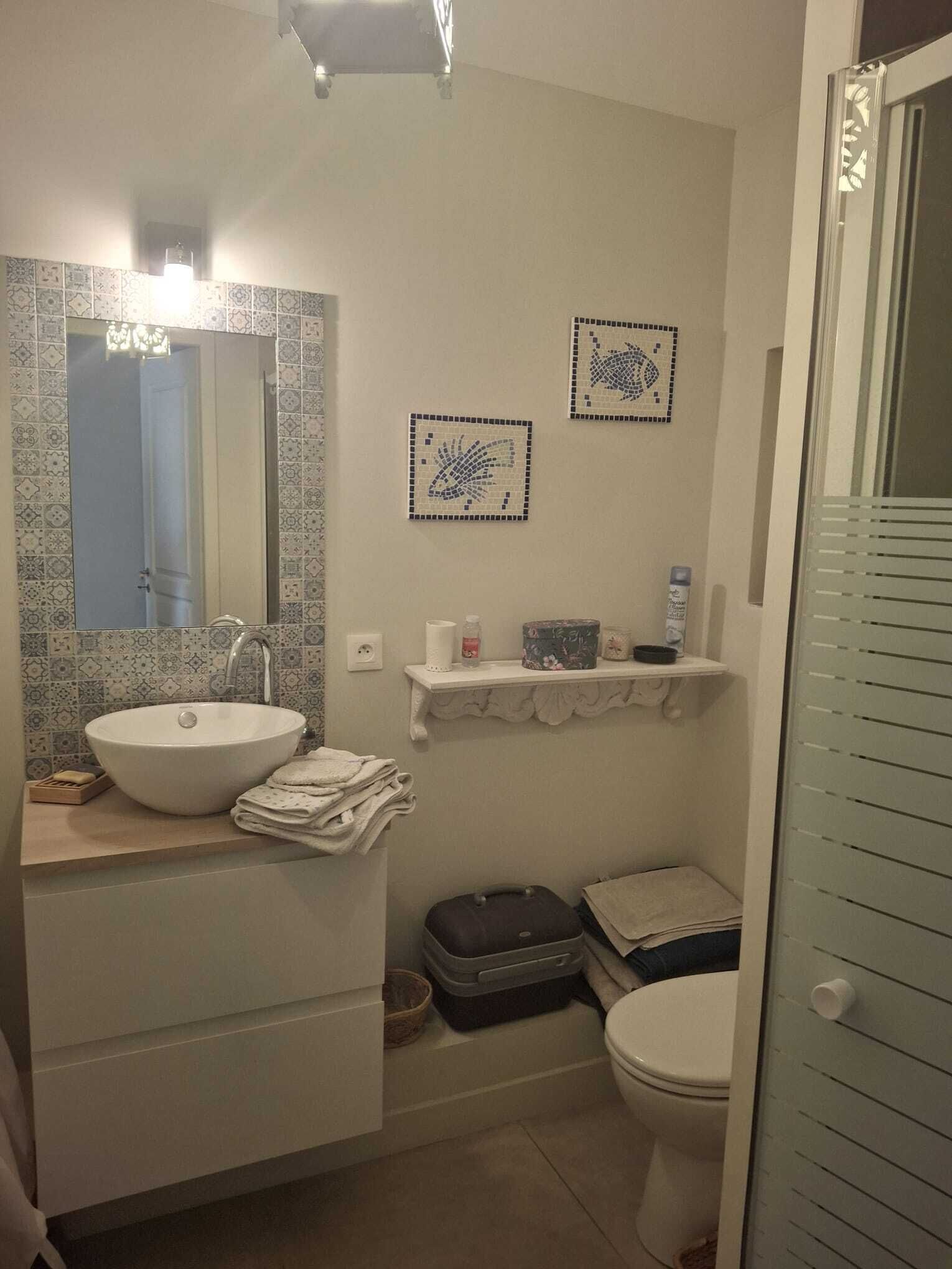 Hair dryer, towels, soap, toilet paper